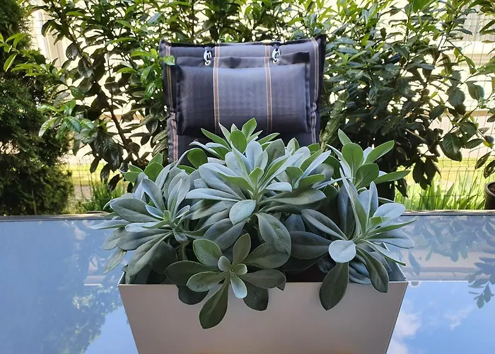 Mandara Wellnes Шиофок